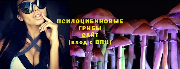 ПСИЛОЦИБИНОВЫЕ ГРИБЫ Алексин