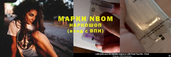 ПСИЛОЦИБИНОВЫЕ ГРИБЫ Алексин