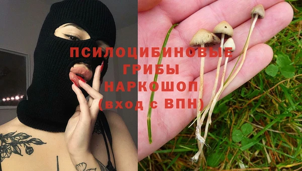 индика Приозерск