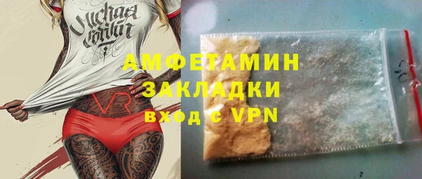 индика Приозерск